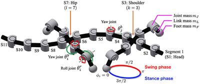 Spontaneous Gait Transitions of Sprawling Quadruped Locomotion by Sensory-Driven Body–Limb Coordination Mechanisms